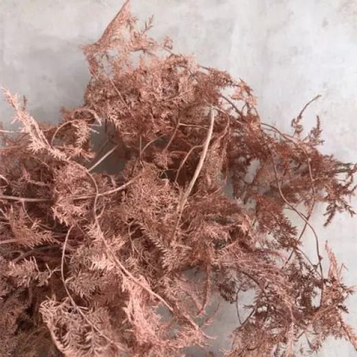 terracotta