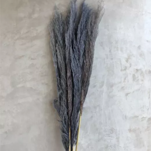 Pampas Grey