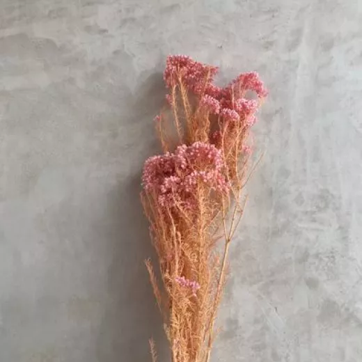 Rice Flower Blush