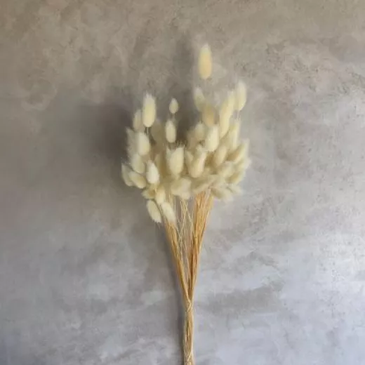 Bleached Bunny Tail