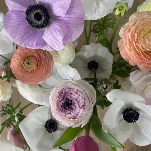 Adene's Ranunculus & Anemone Mix