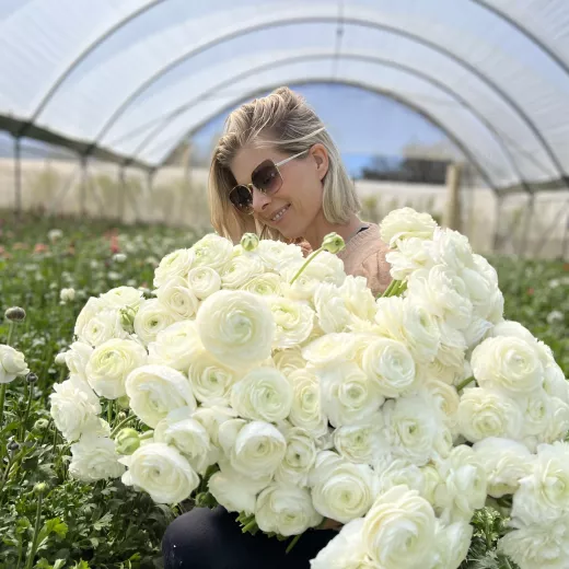 Italian Blanco White Ranunculus