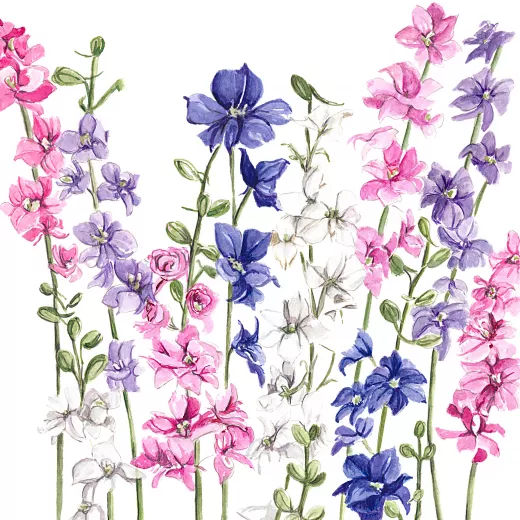 	Larkspur Formula Mix