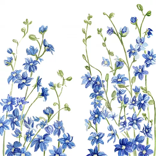 	Larkspur Dark Blue