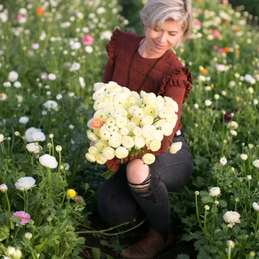 Ranunculus Cream