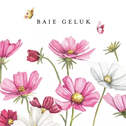 Afrikaans - BAIE GELUK