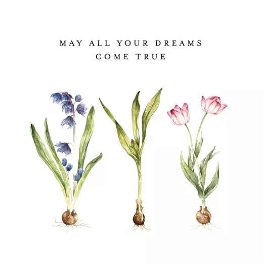 English – MAY ALL YOUR DREAMS COME TRUE
