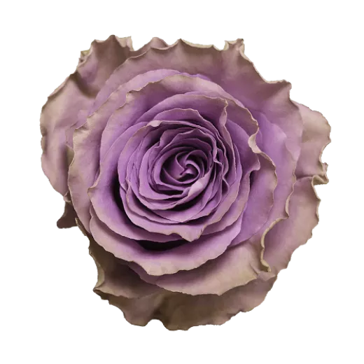 Byzantine