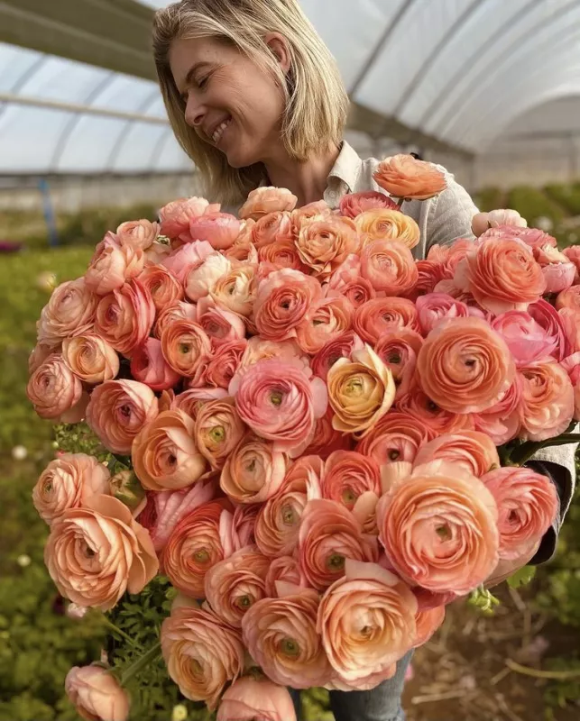 Salmon Ranunuculus