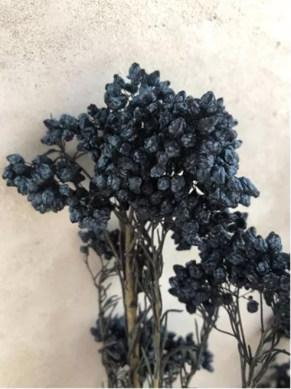 Rice Flower Black