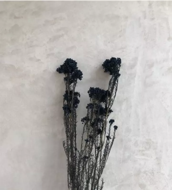 Rice Flower Black