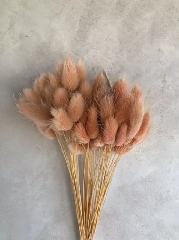 Blush Bunny Tails