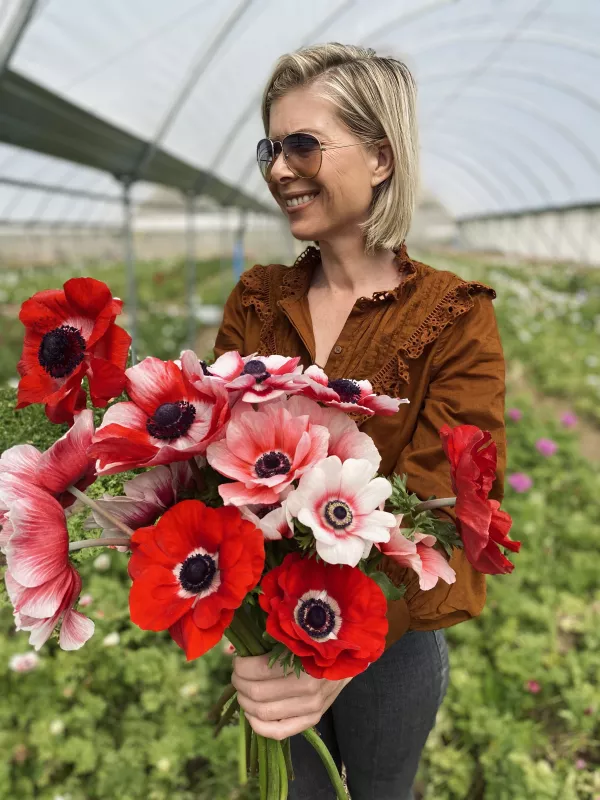 Anemone Rainbow Red & White