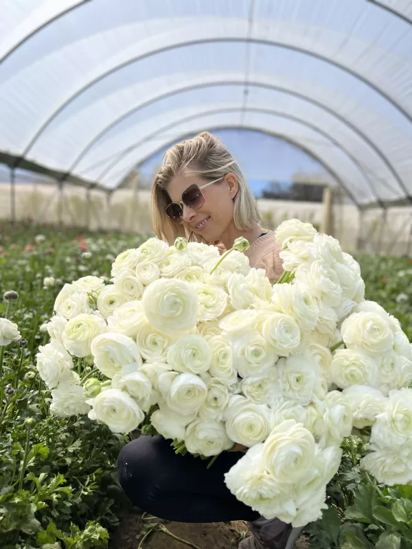 Italian Blanco White Ranunculus