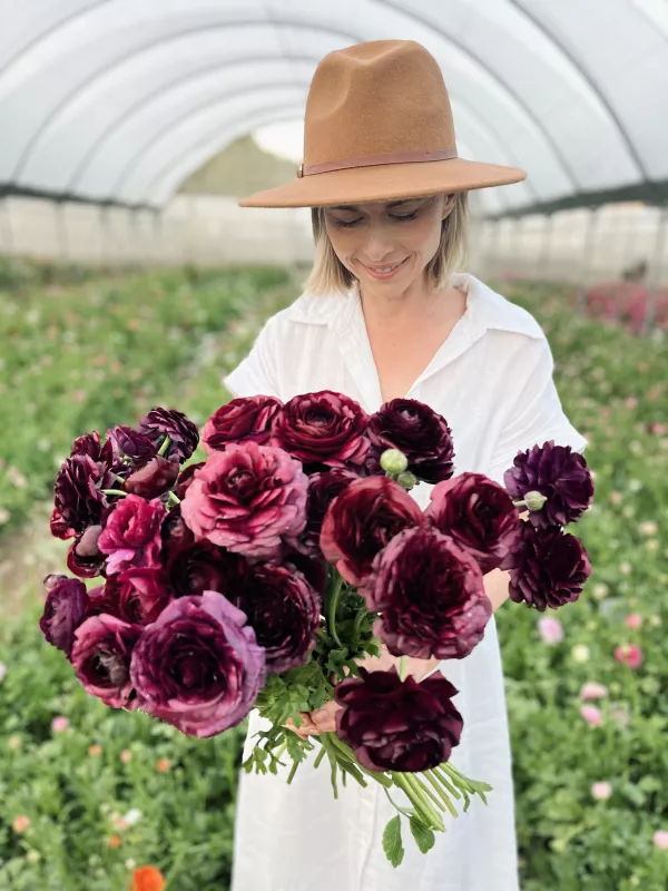 Italian Viola Ranunculus