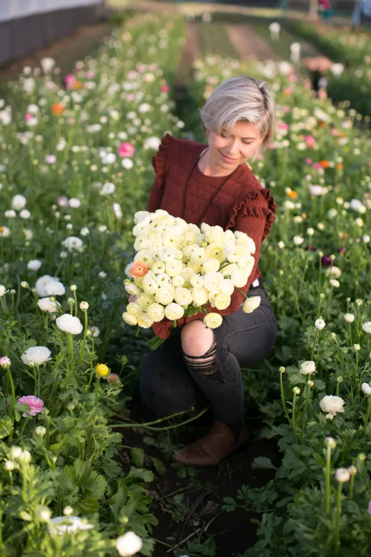 Ranunculus Cream