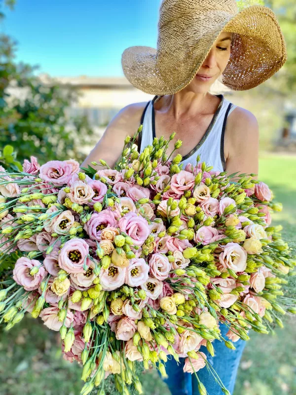 Lisianthus Apricot