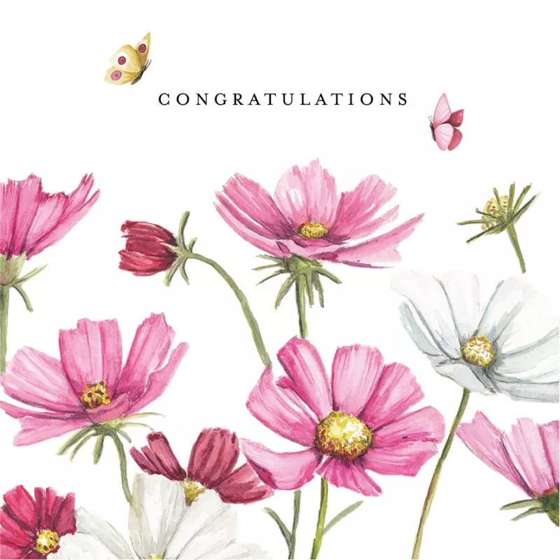 English – CONGRATULATIONS