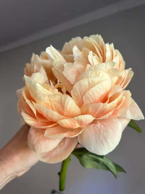 Coral Charm